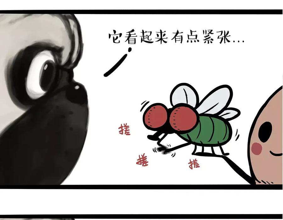 47.jpg