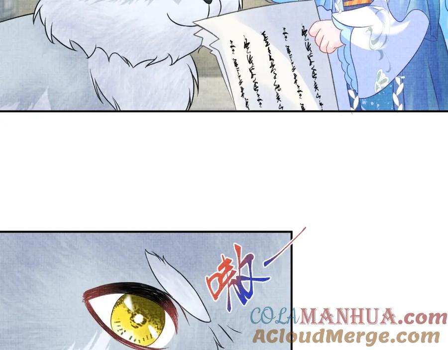 81.jpg