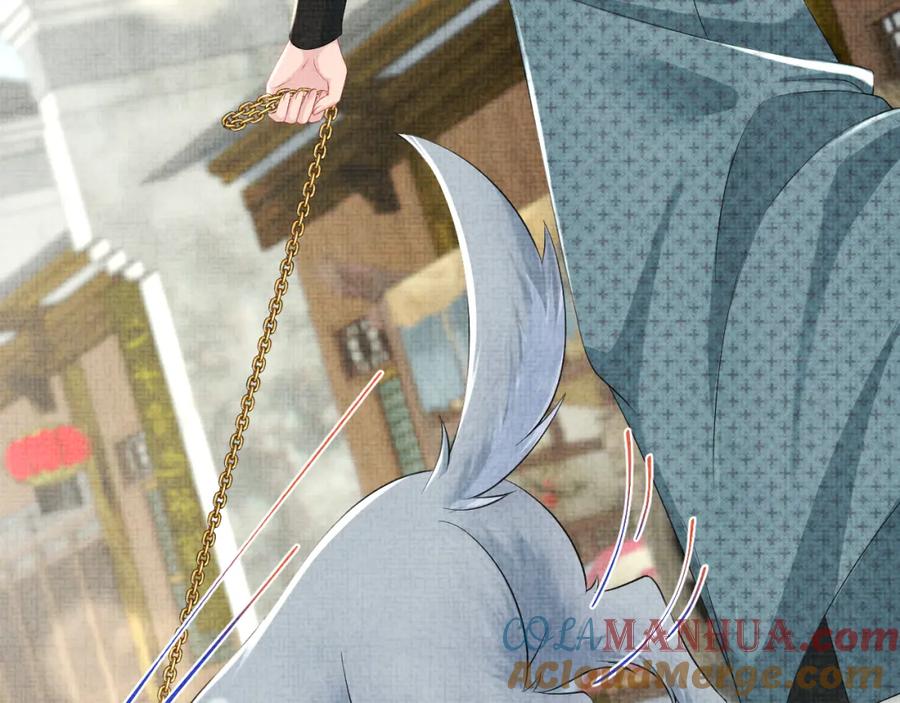 73.jpg