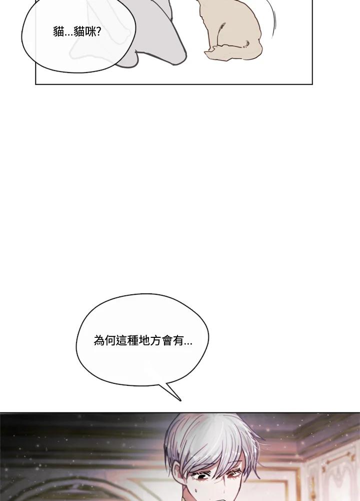 54.jpg
