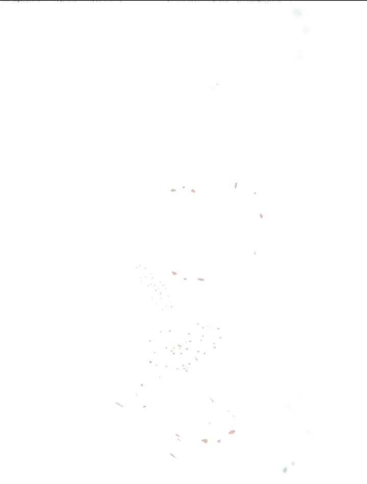 104.jpg