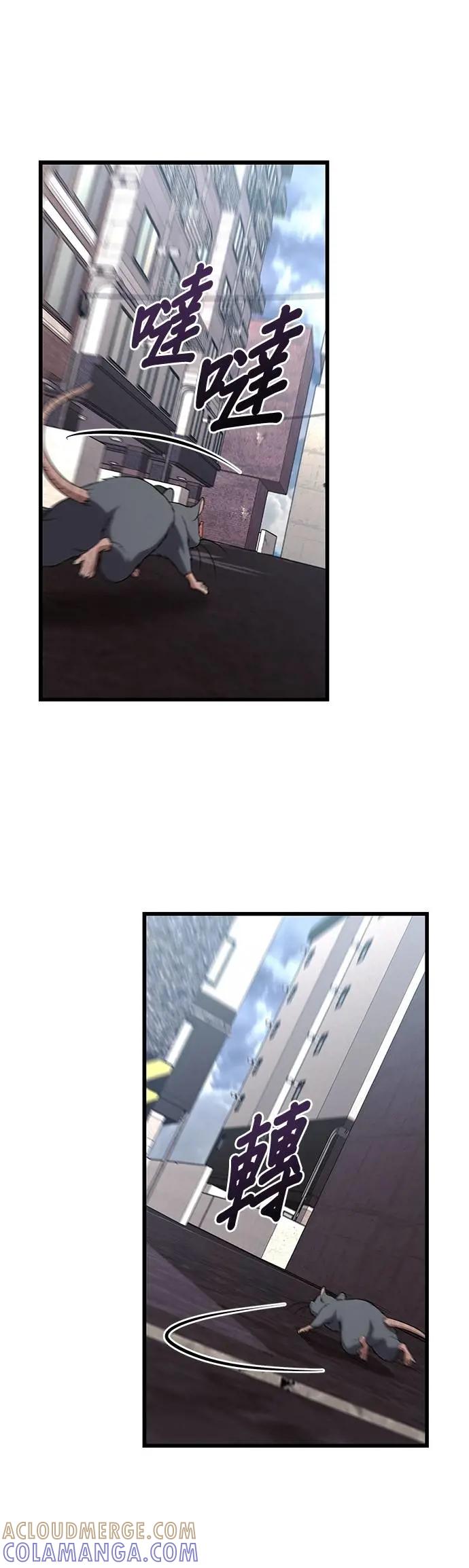 40.jpg