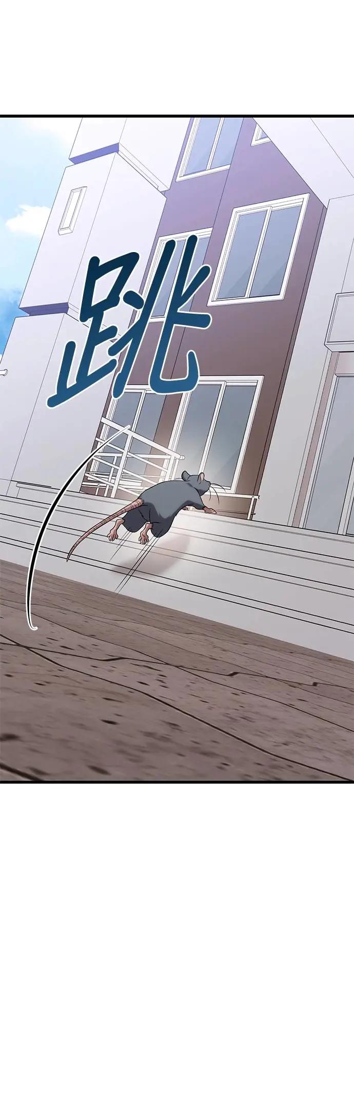 48.jpg