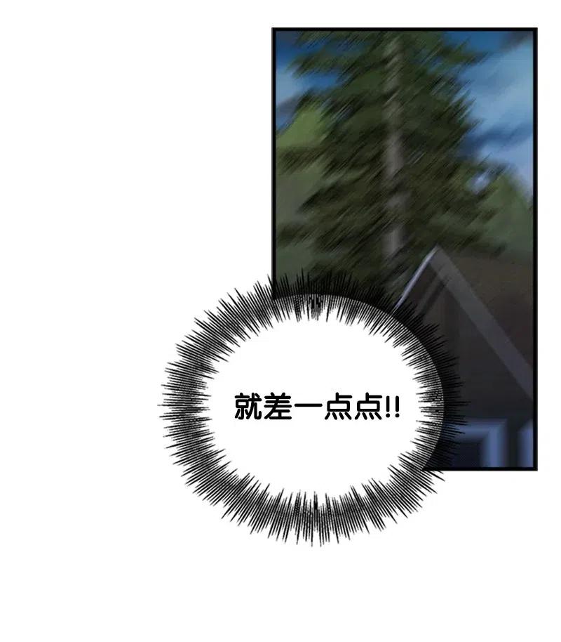 48.jpg