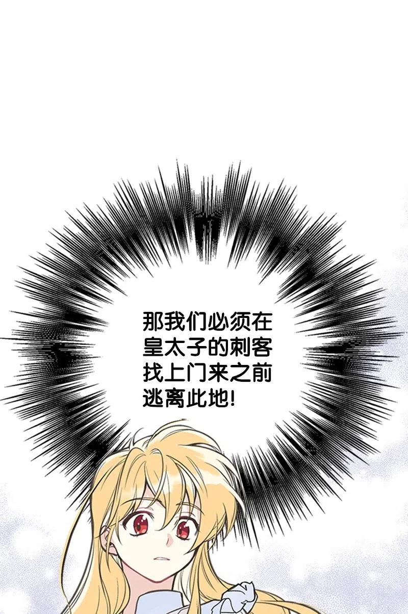 48.jpg