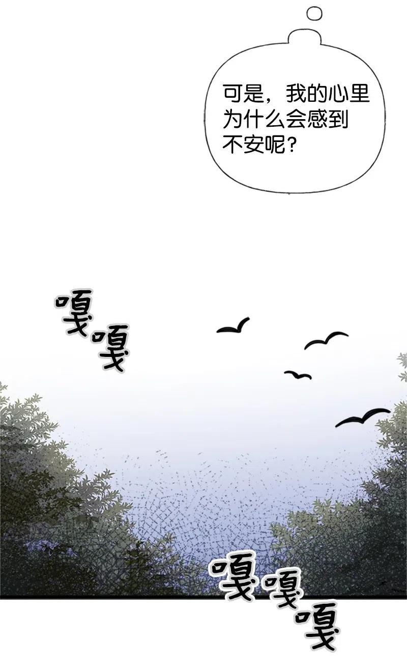 60.jpg
