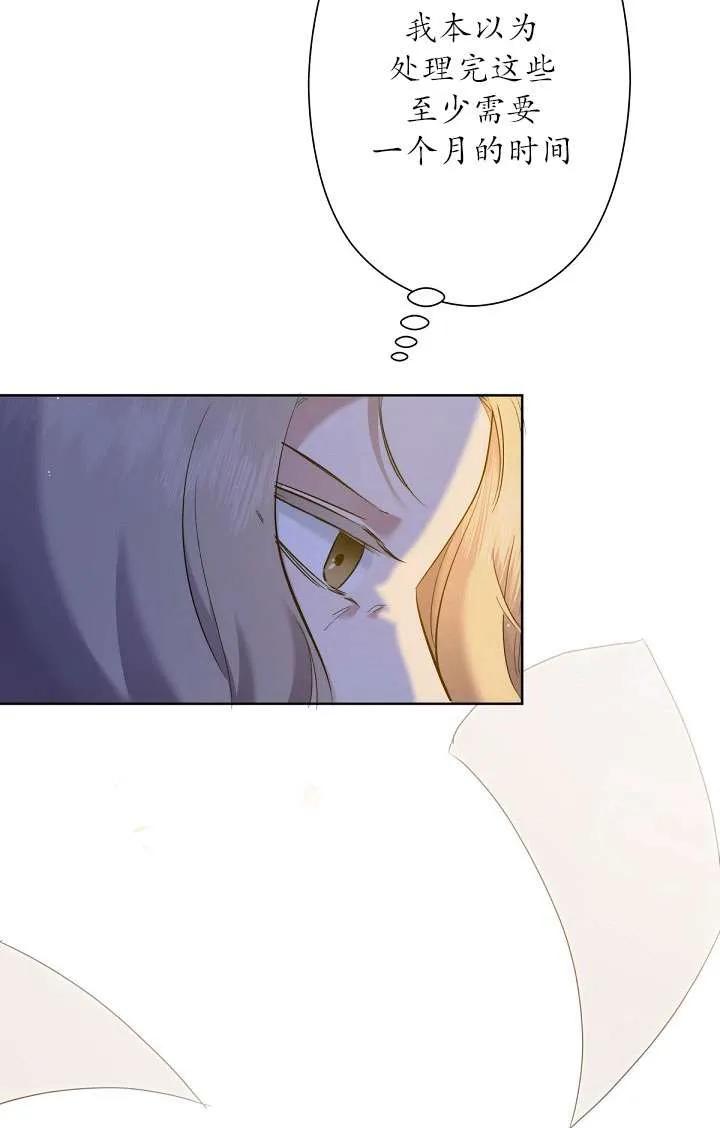 81.jpg