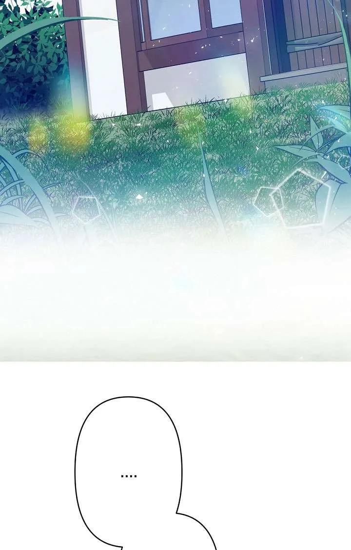 95.jpg