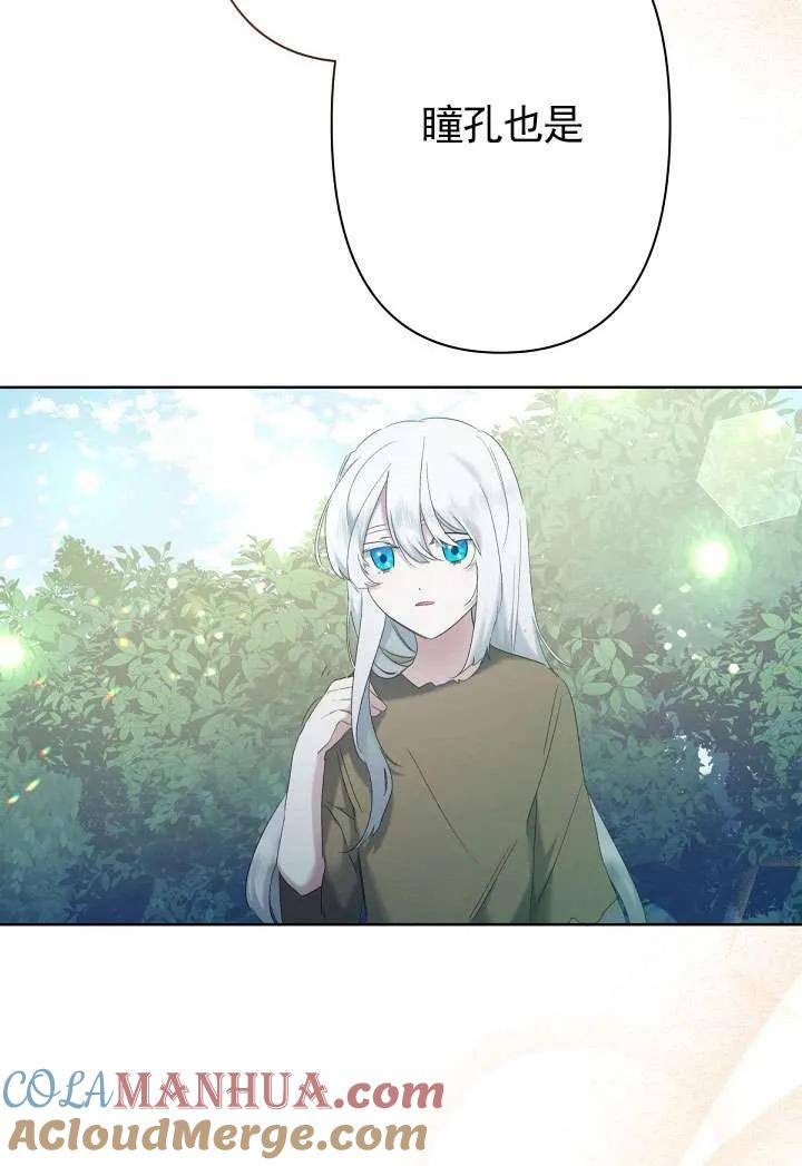 73.jpg