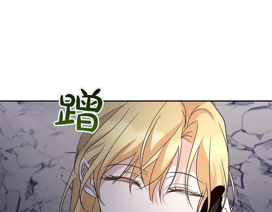96.jpg