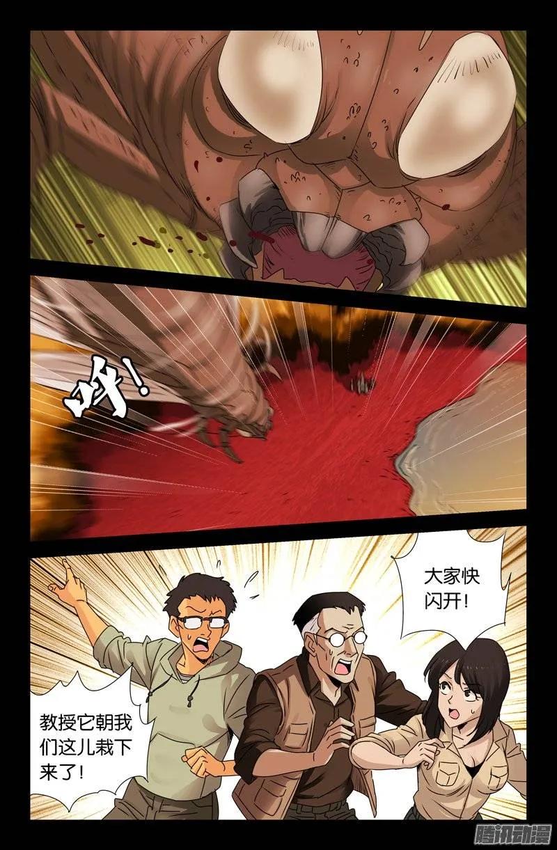 5.jpg