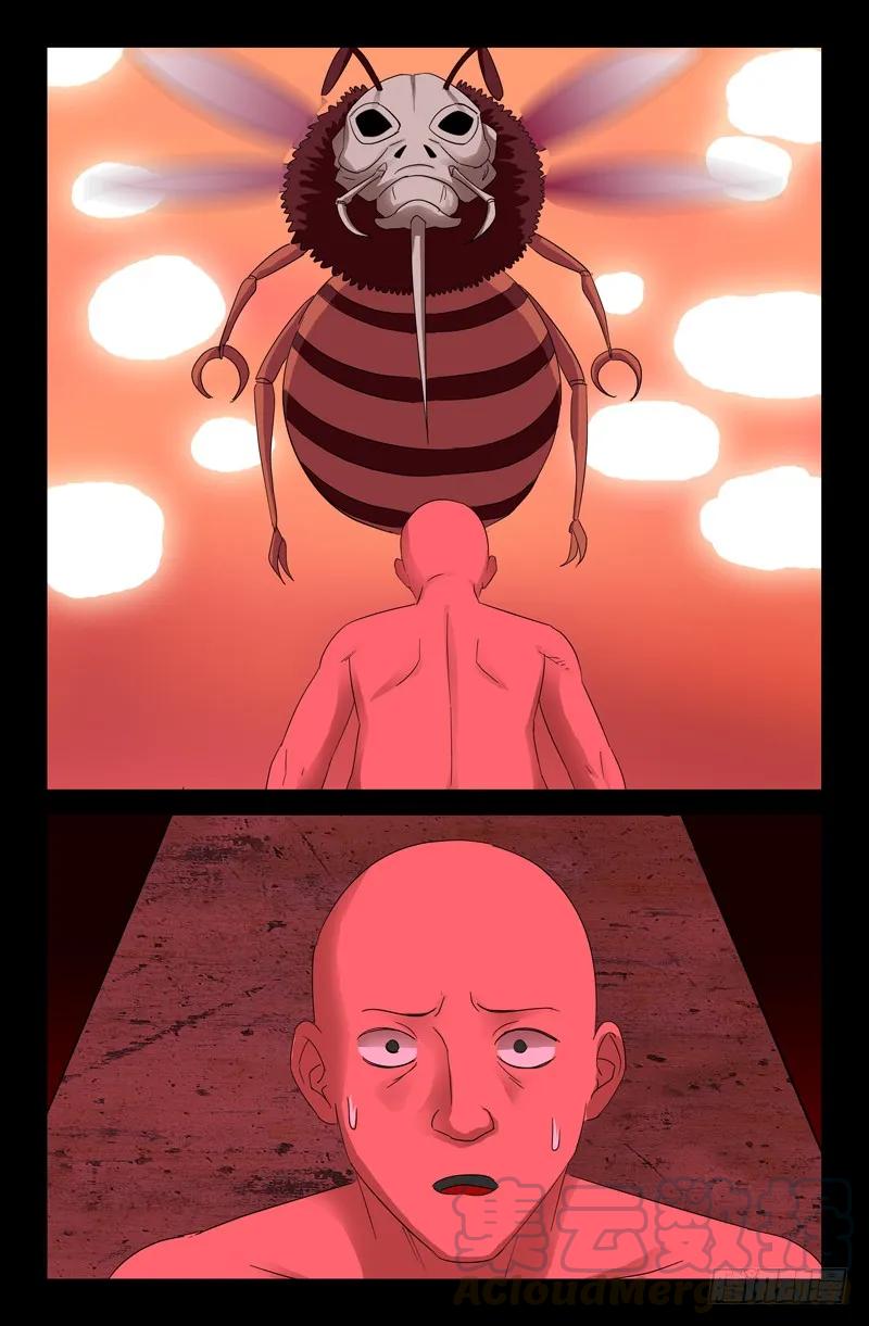 13.jpg