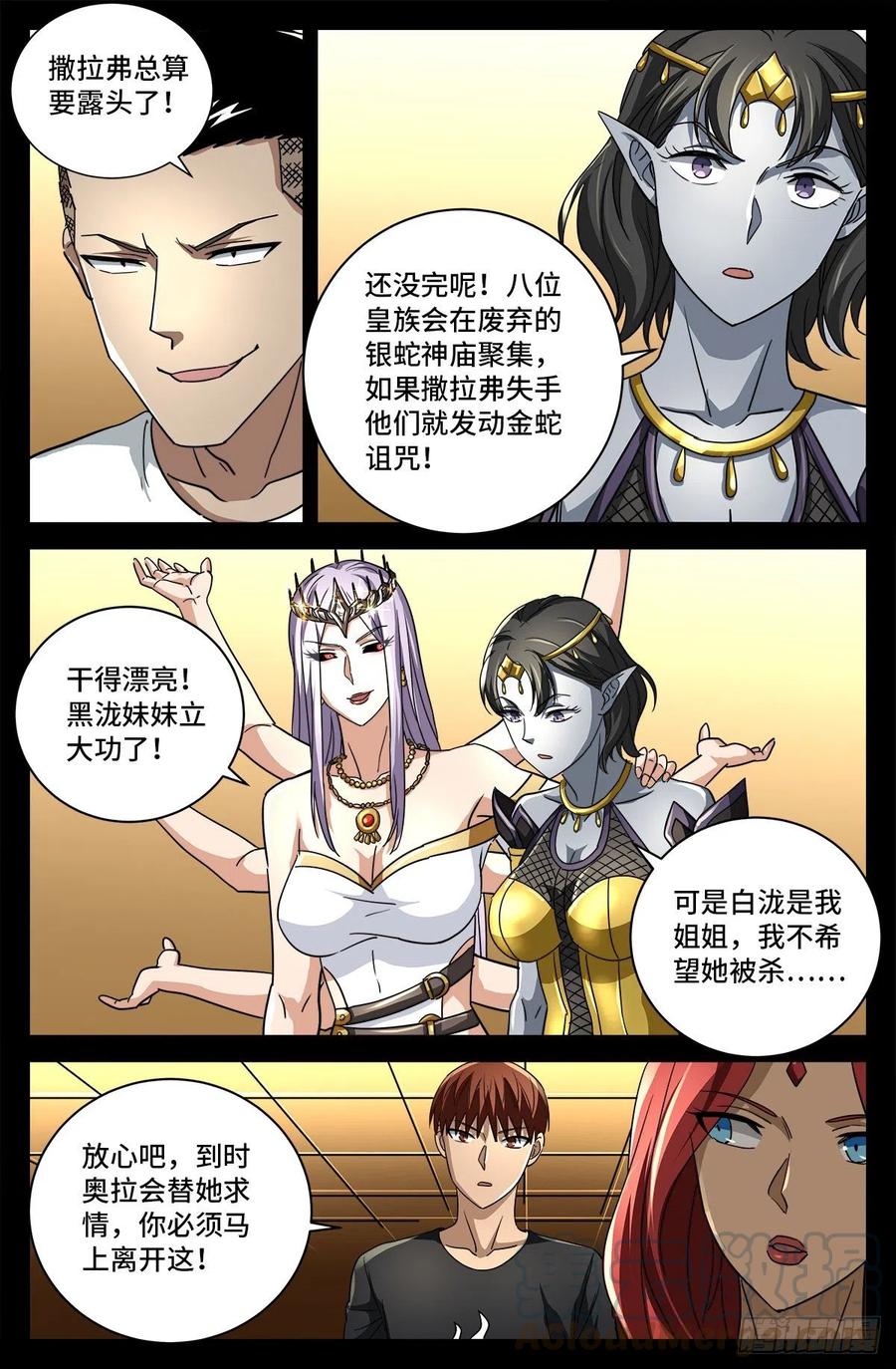 11.jpg
