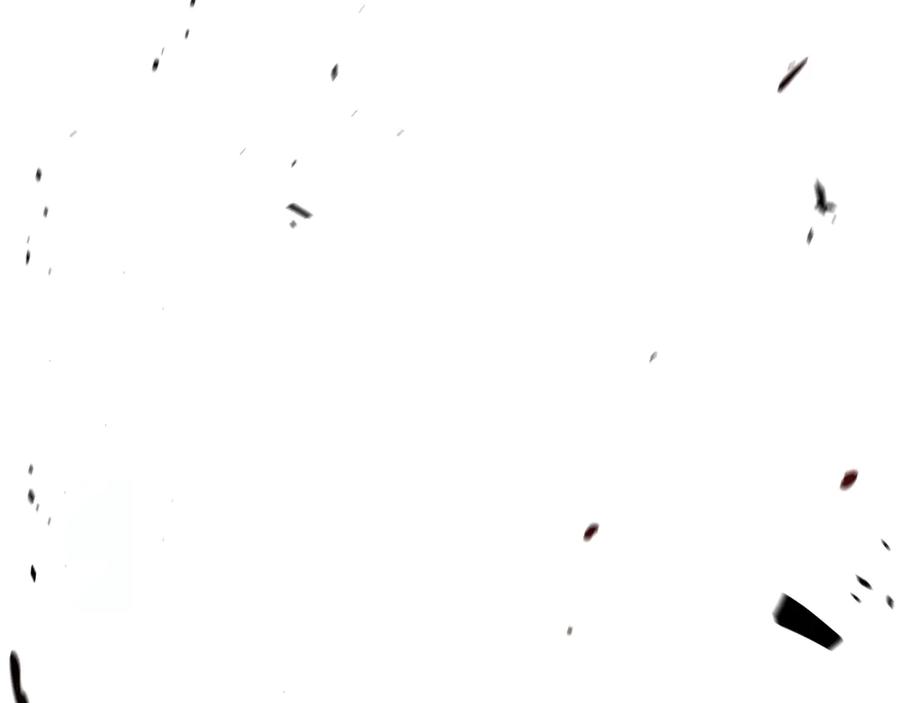 160.jpg