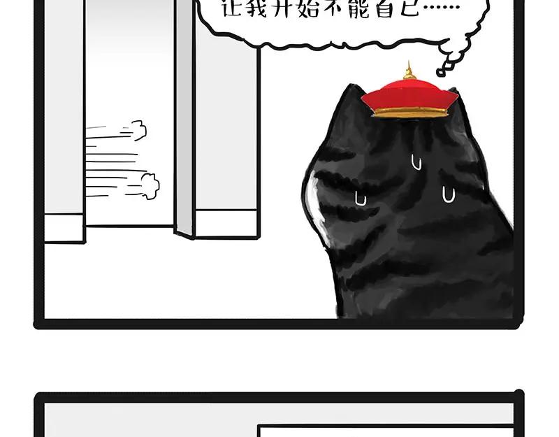 81.jpg