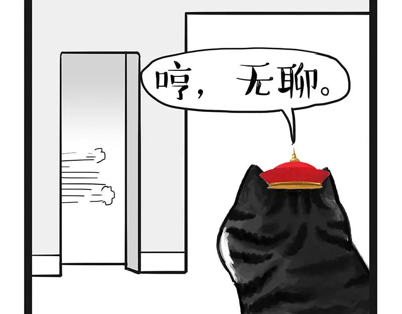 78.jpg