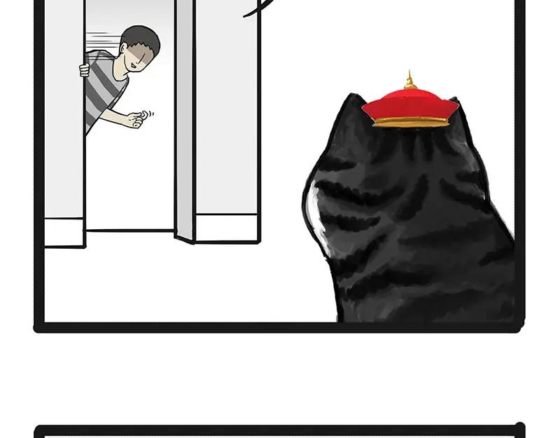77.jpg