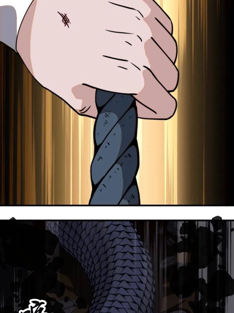 41.jpg