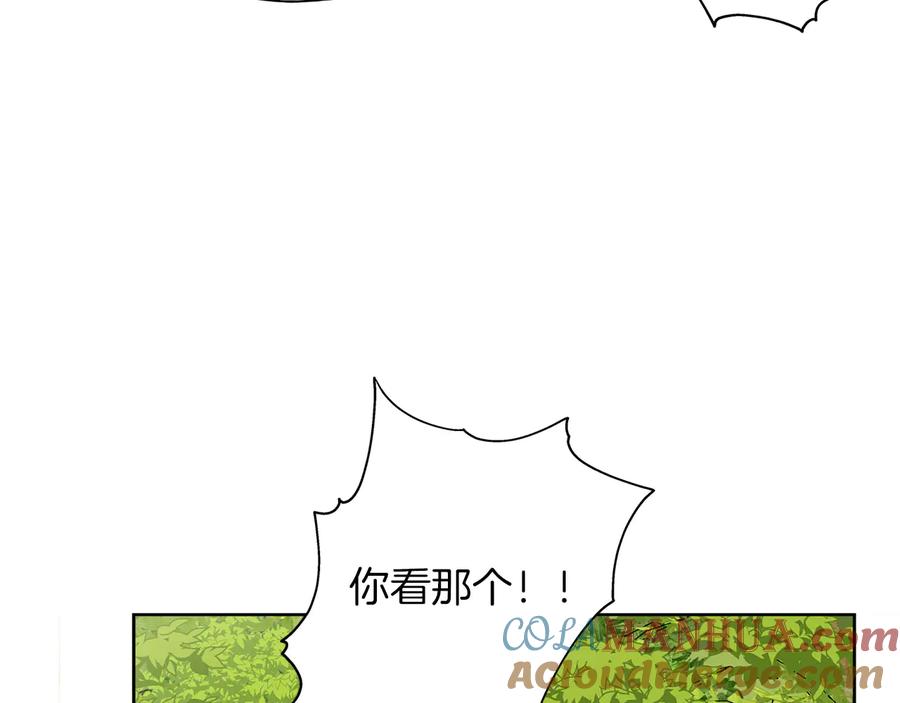 161.jpg