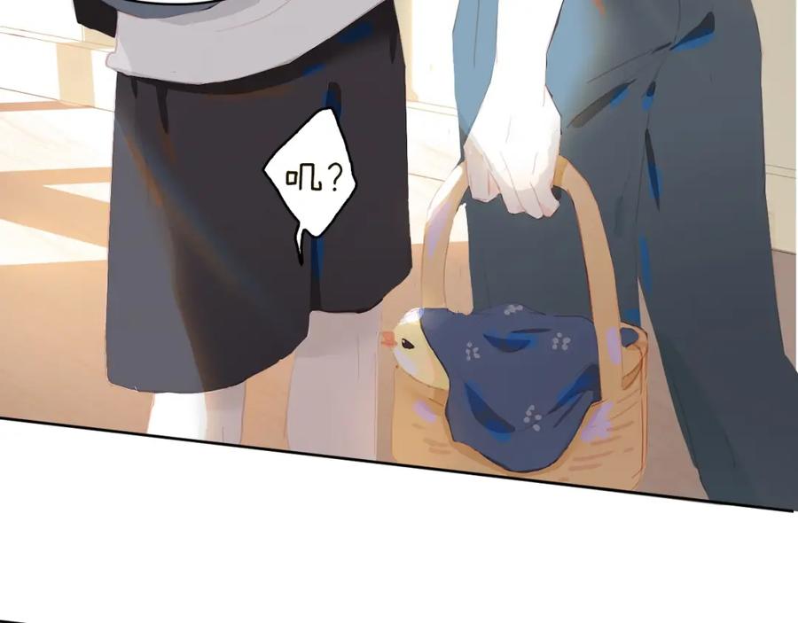 68.jpg