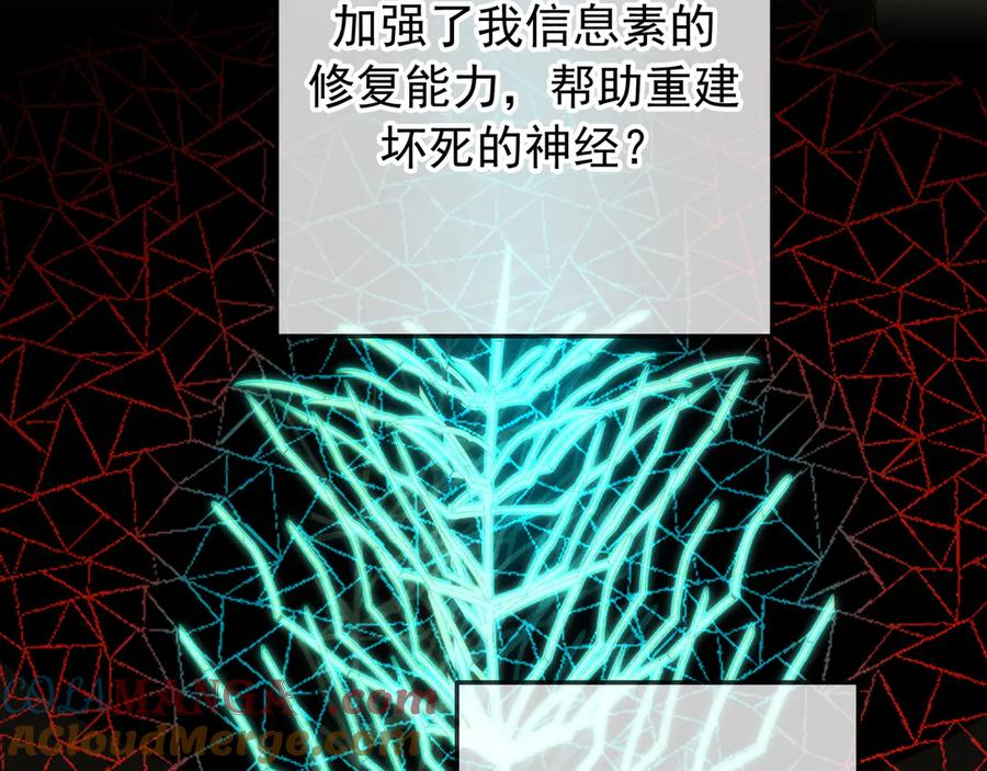 113.jpg