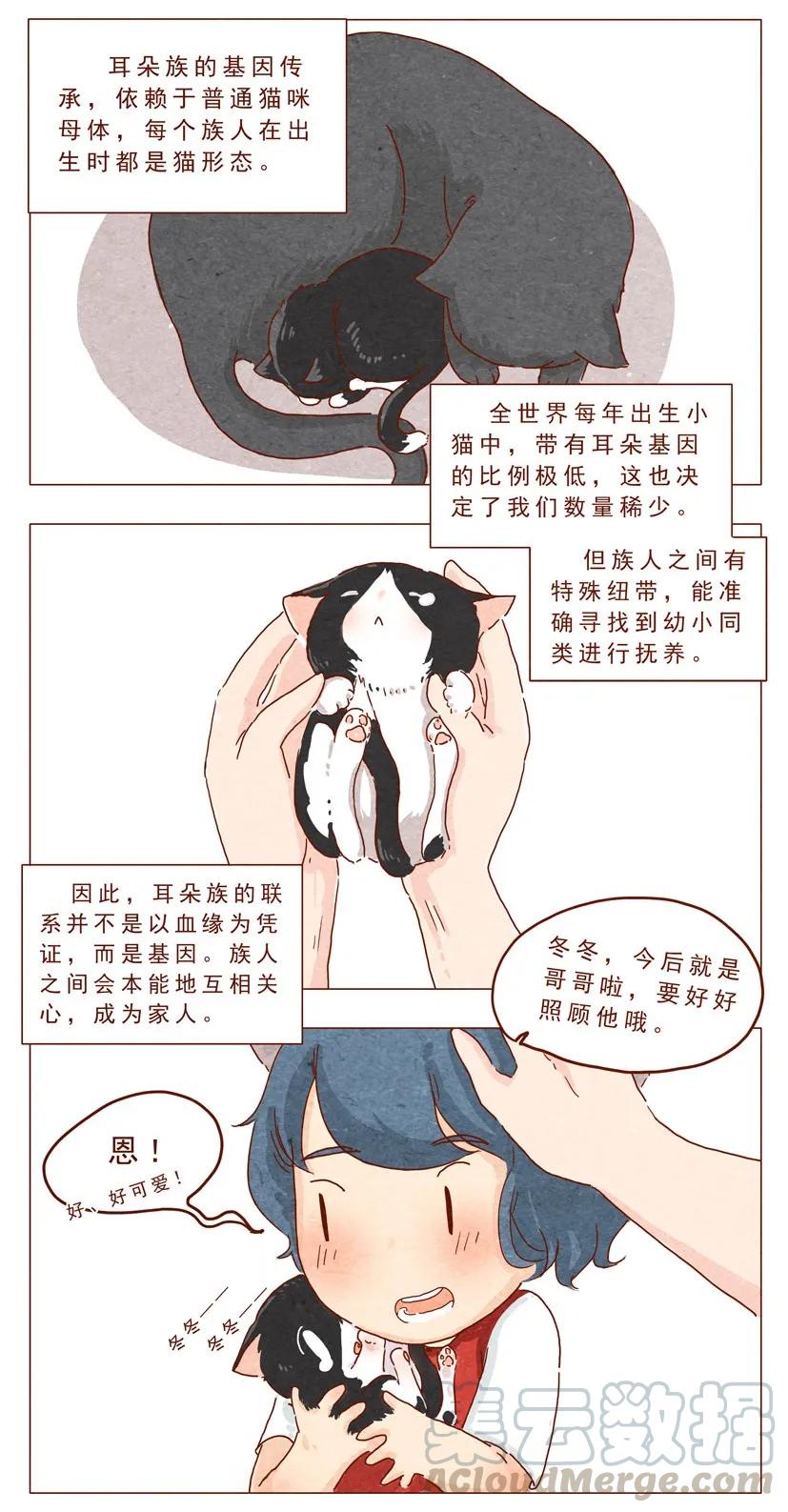 第14话“耳朵族”-喂，看见耳朵啦-特雷西胡,漫漫漫画（第3张）