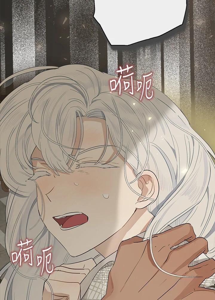 51.jpg