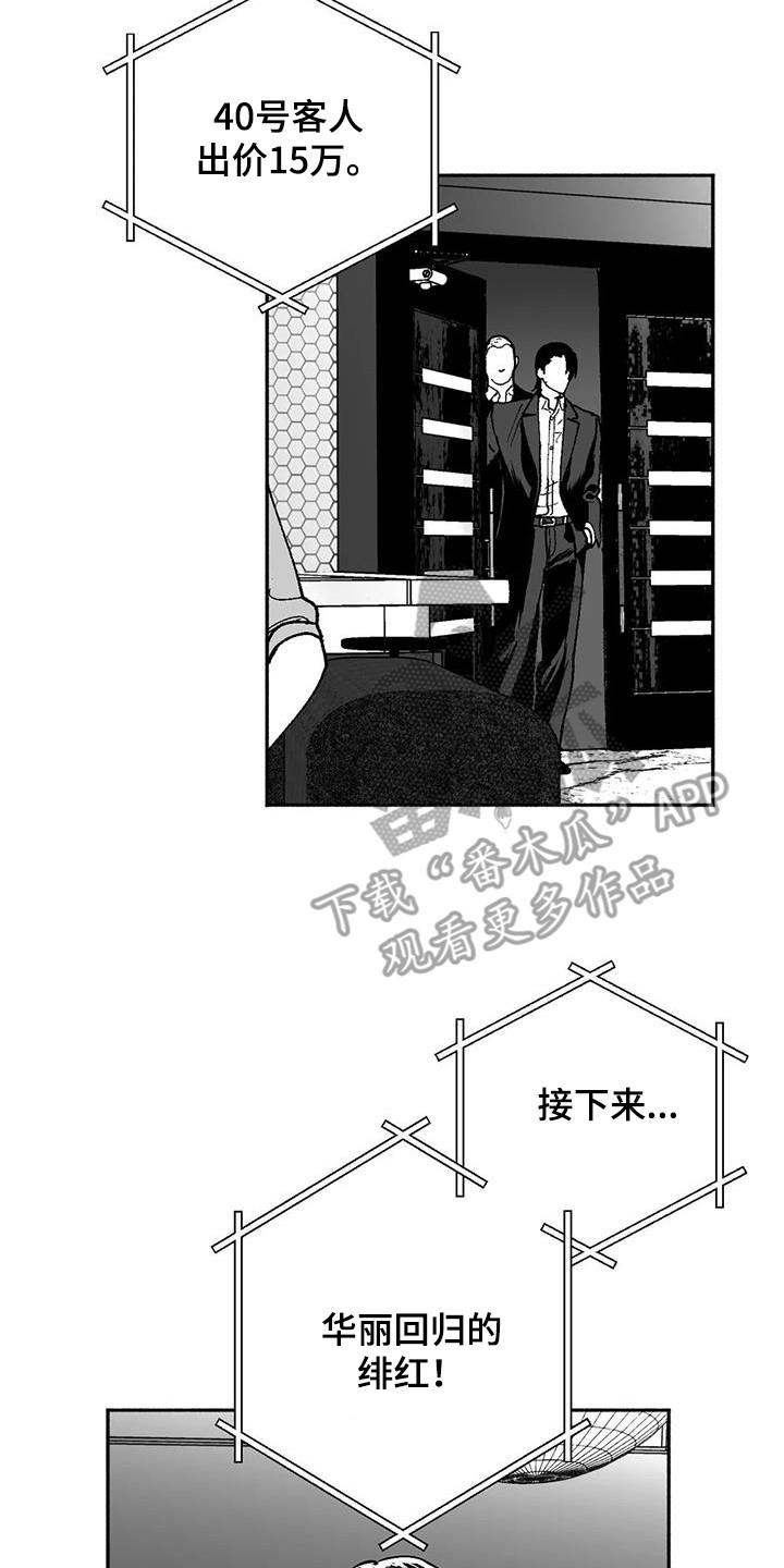 第66章：出价-绯色长夜-Fenli（第7张）
