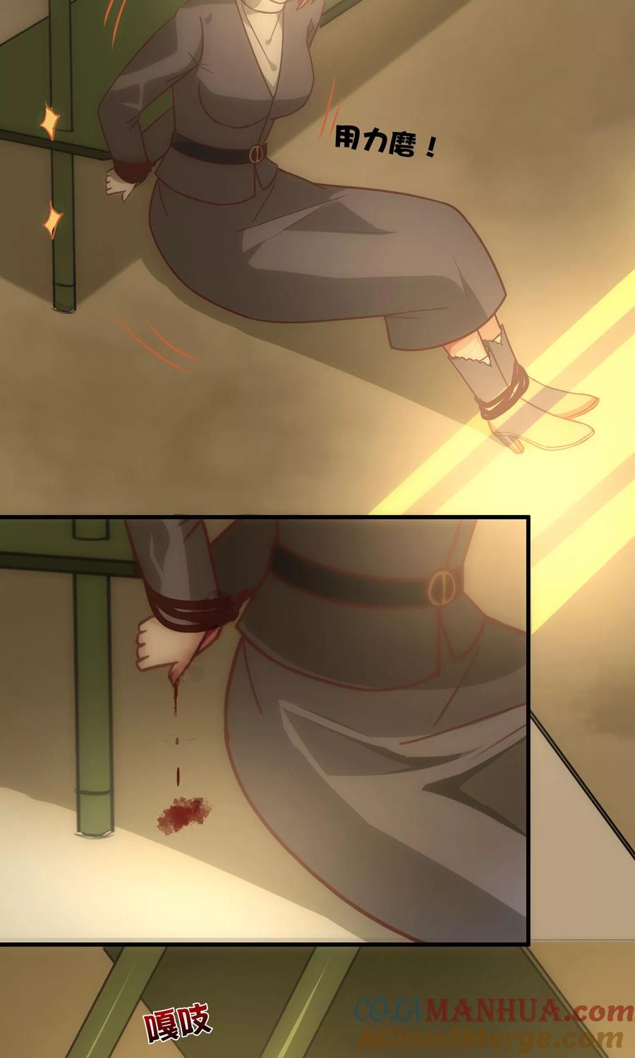 第104话-总裁的失忆前妻-洛洛 咸鱼缸（第2张）