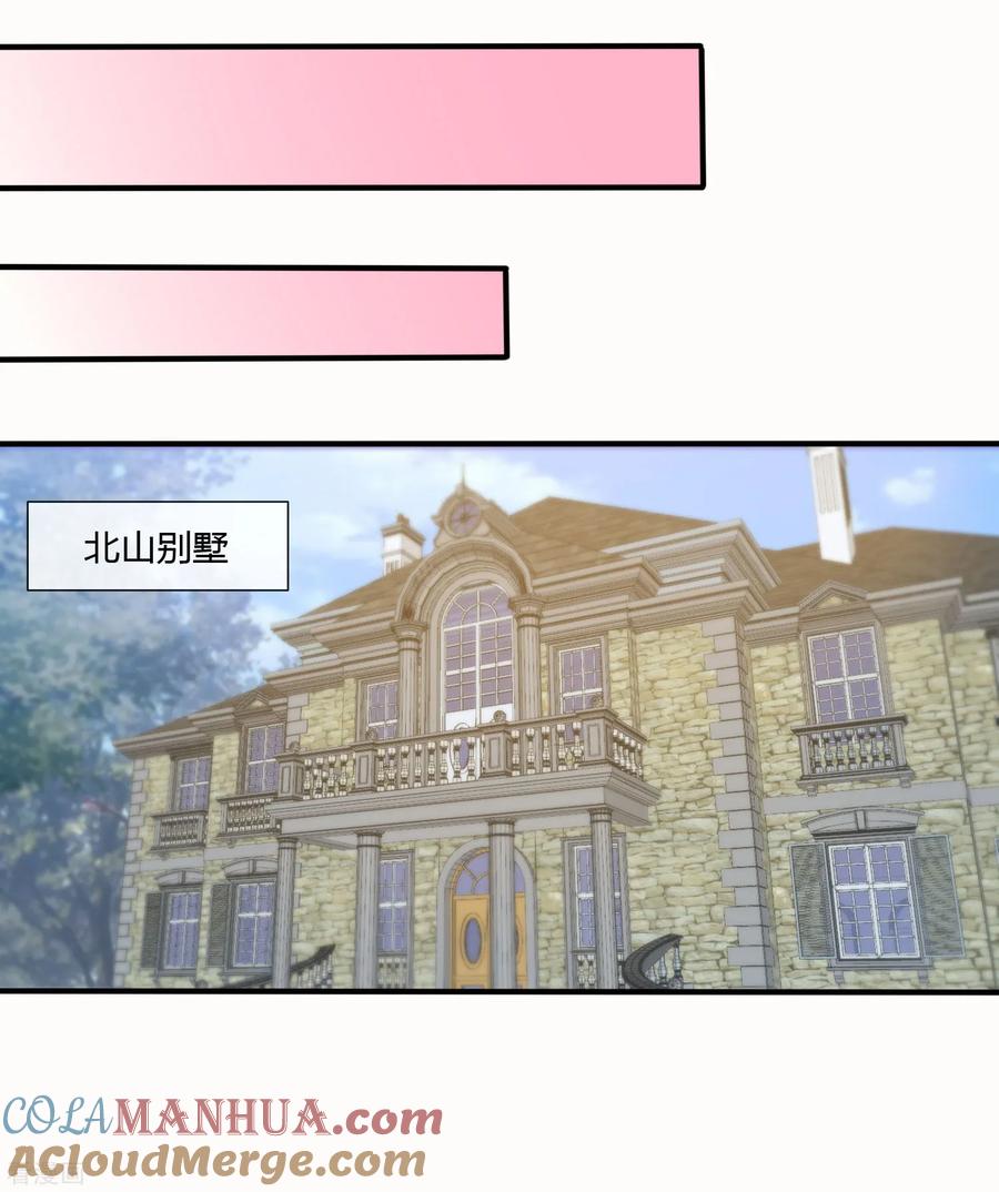 第120话-总裁的失忆前妻-洛洛 咸鱼缸（第5张）