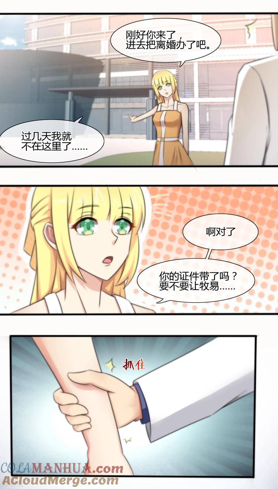 第126话-总裁的失忆前妻-洛洛 咸鱼缸（第3张）