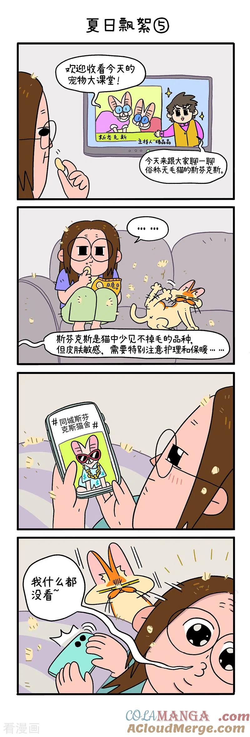 第24话2夏日飘絮-阿满和麦茶-新漫画 日胖大海寺（第3张）