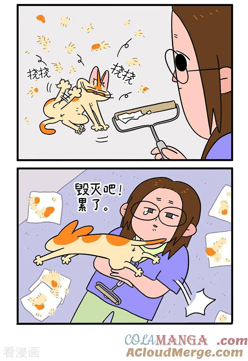 第24话2夏日飘絮-阿满和麦茶-新漫画 日胖大海寺（第2张）