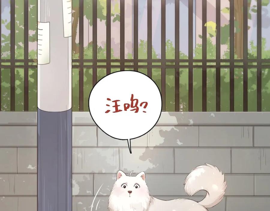 第40话回到过去-今天的她也是如此可爱-郭斯特（第7张）