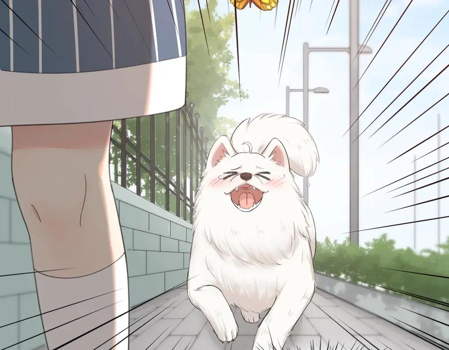 第40话回到过去-今天的她也是如此可爱-郭斯特（第15张）