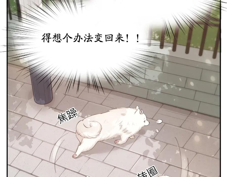 第40话回到过去-今天的她也是如此可爱-郭斯特（第11张）