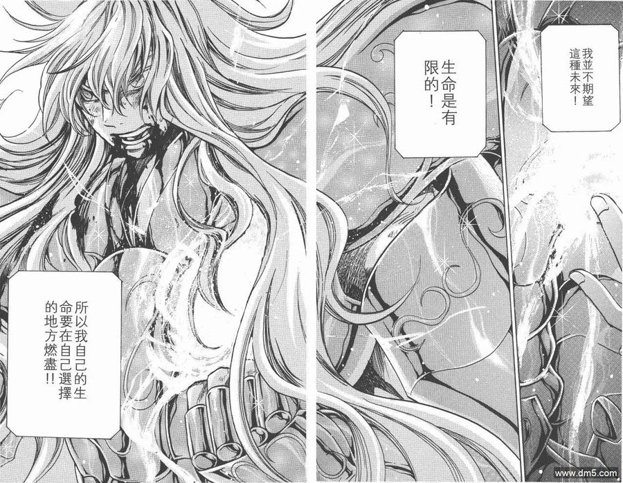 第13卷-圣斗士星矢 冥王神话-手代木史织（第10张）