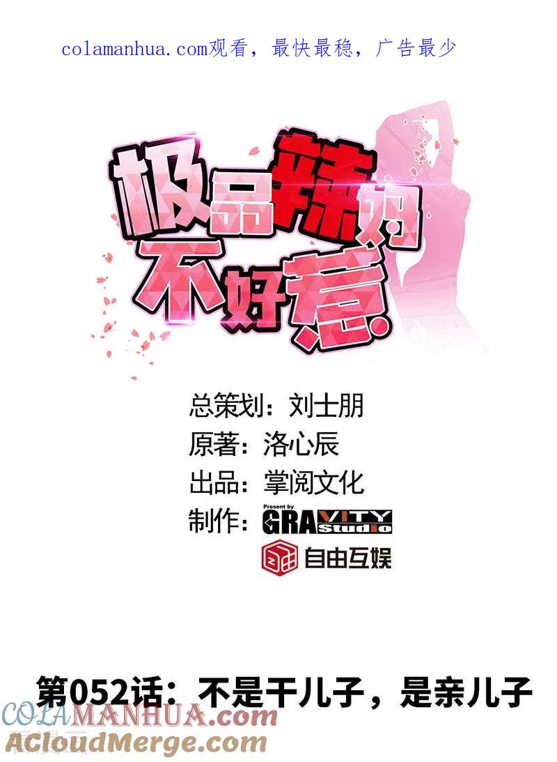 第52话不是干儿子，是亲儿子-极品辣妈不好惹-掌阅（第1张）