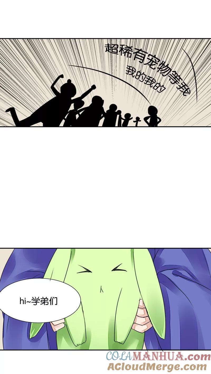 15.jpg