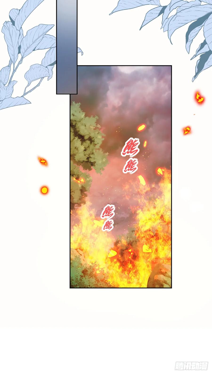 41.jpg