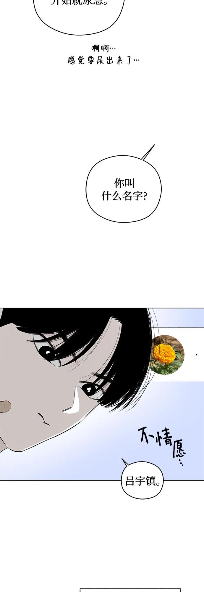 51.jpg