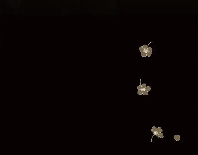 43.jpg