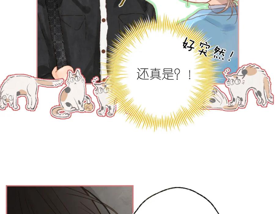 96.jpg