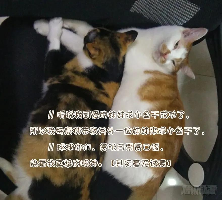第四十话（下）-鸡汤皇后-漫悠悠X顾我（第33张）