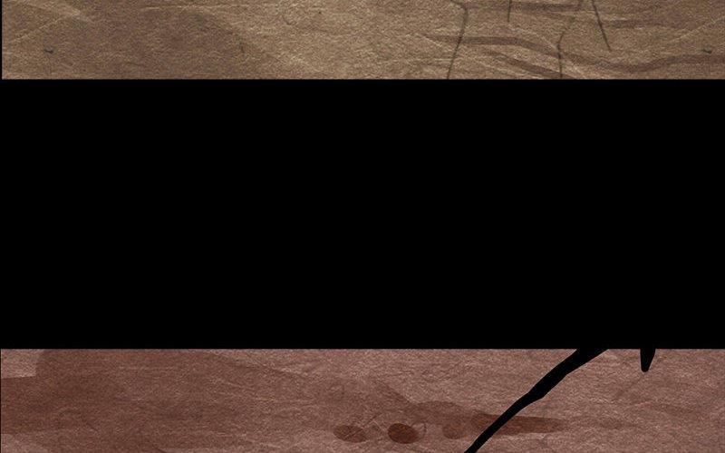 96.jpg