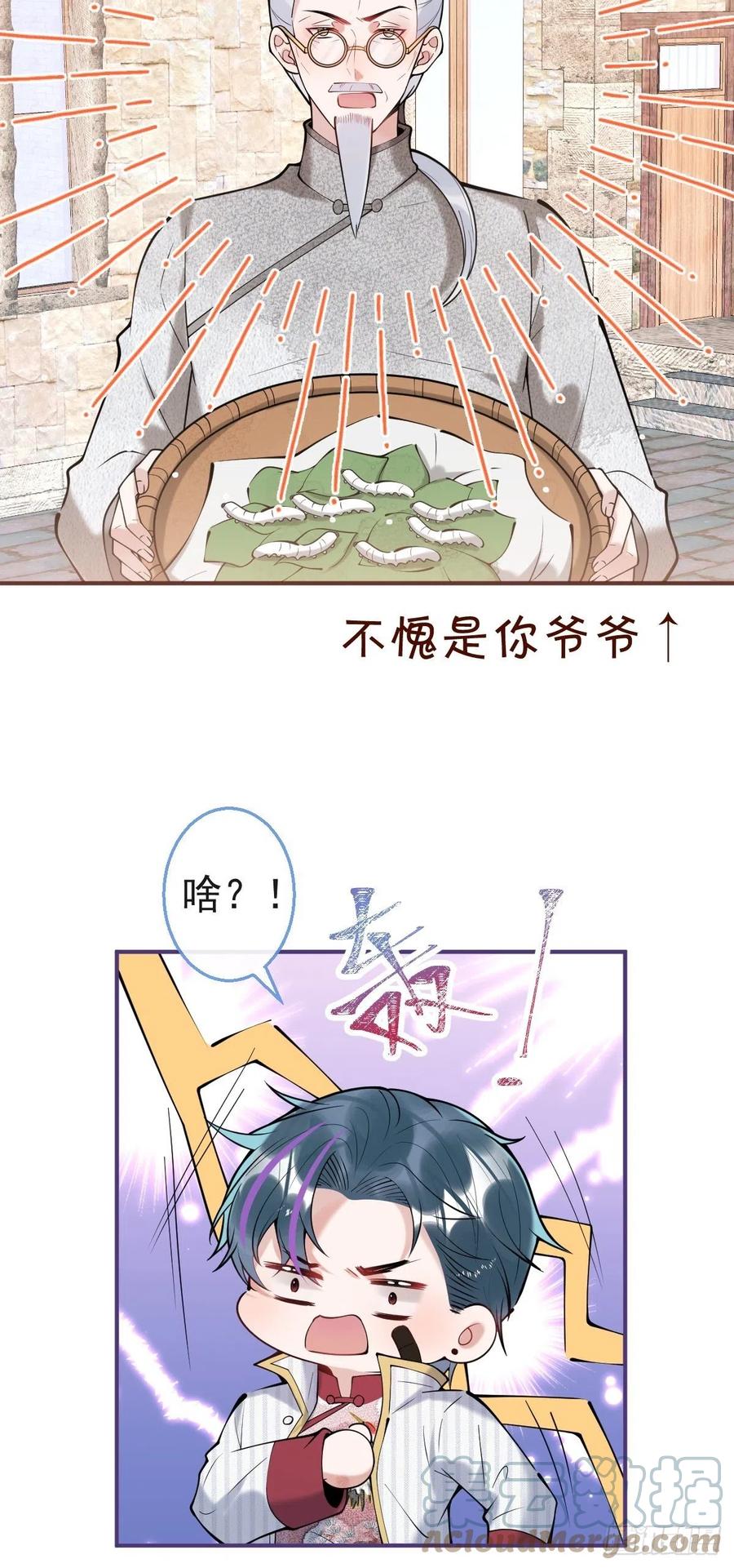 19.jpg