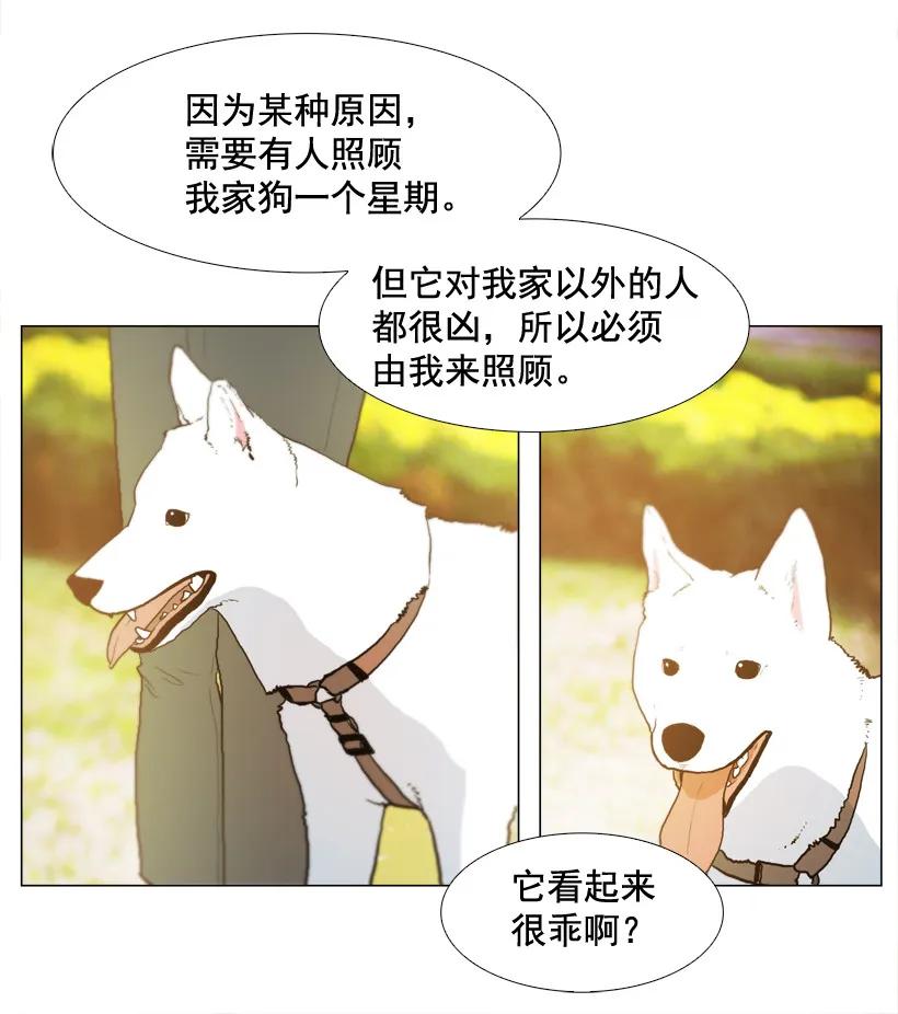 14交叉点-就因为我喜欢女生吗-ZZING,鹤山文化社,极直社（第10张）