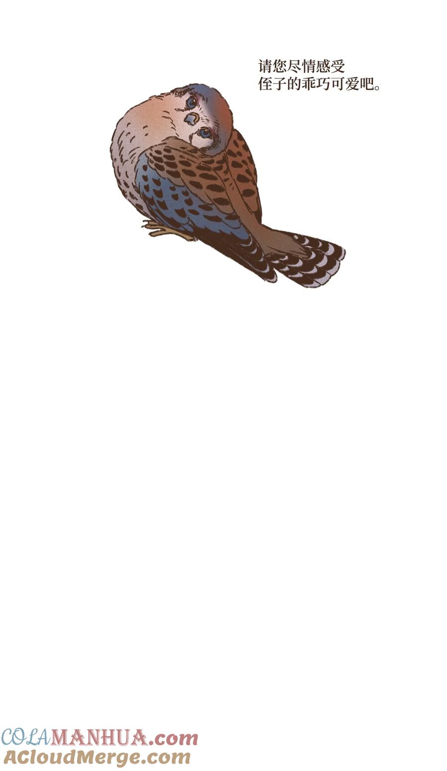 35.jpg