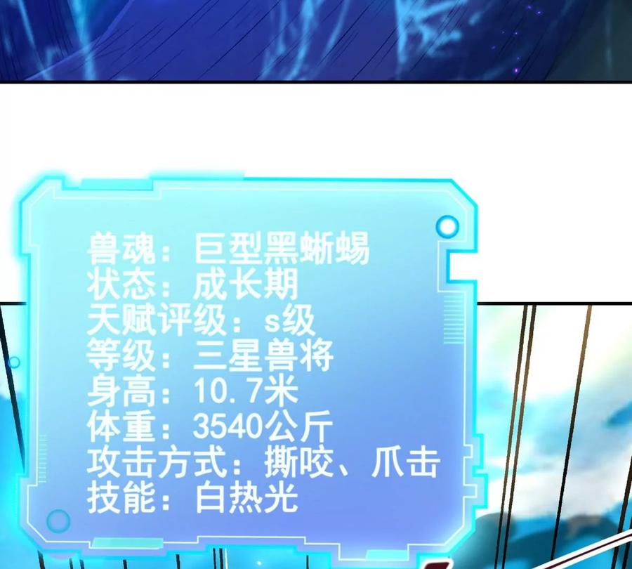 78.jpg
