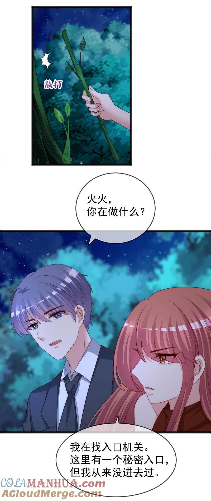 第295话沈姨最后的决定-渣男总裁别想逃-极漫文化（第5张）
